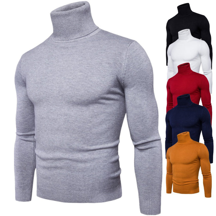Herren Rollkragenpullover aus feiner Merinowolle Aliams