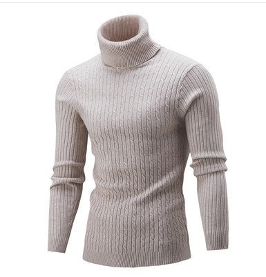 Herren stilvoller Rollkragenpullover mit Zopfmuster Aliams