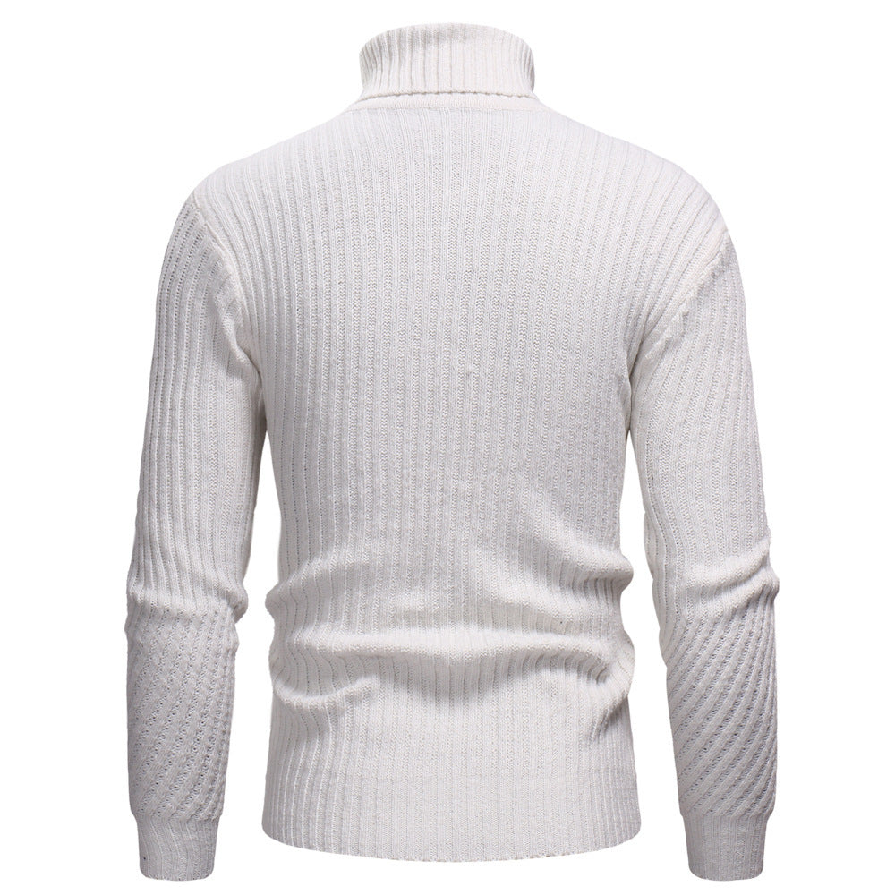 Herren Hochwertiger Rollkragenpullover im strukturierten Design Aliams