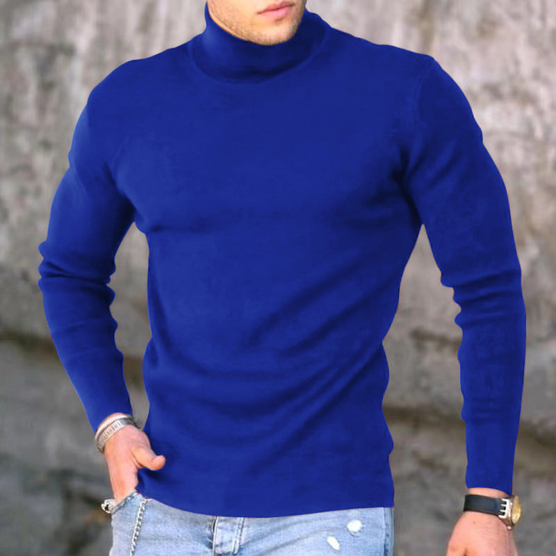Herren eleganter Rollkragenpullover Aliams