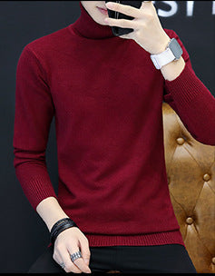 Herren Rollkragenpullover aus feinem Strick Aliams