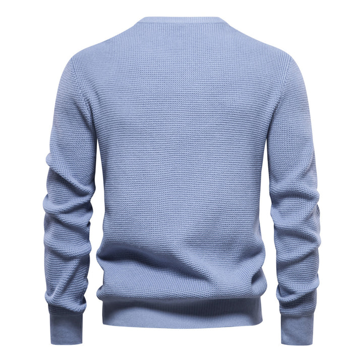 Herren Pullover mit modernem Strukturdesign und auffälligen Farbdetails Aliams