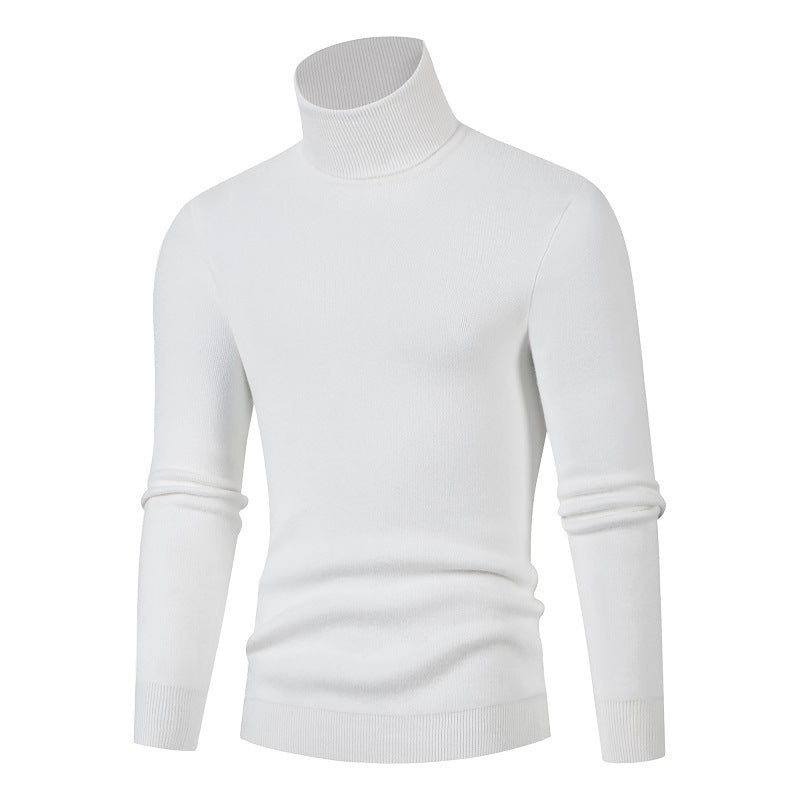 Herren Rollkragenpullover aus weichem Material Aliams