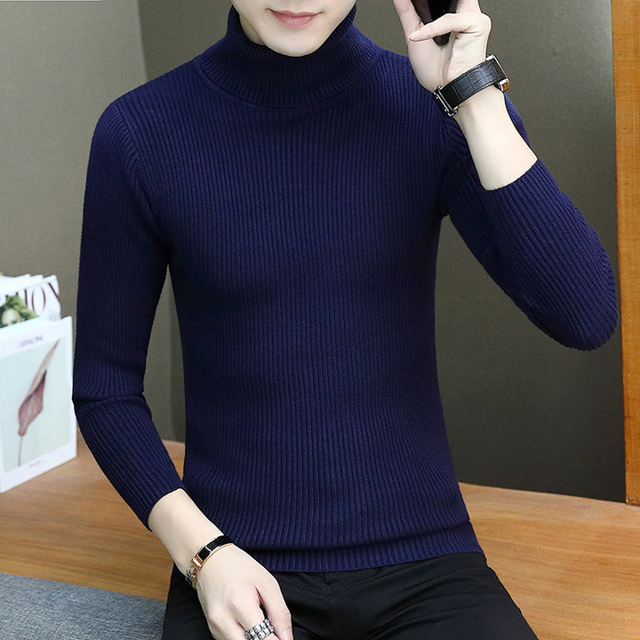 Herren Rollkragenpullover aus hochwertigem Rippenstrick Aliams