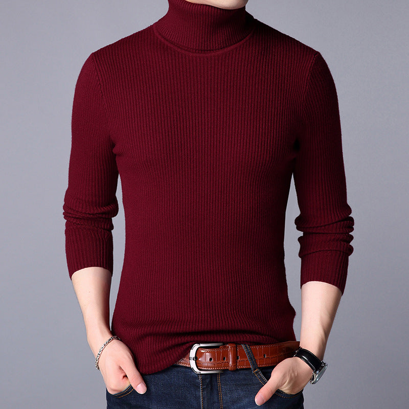 Herren Feinstrickpullover Aliams