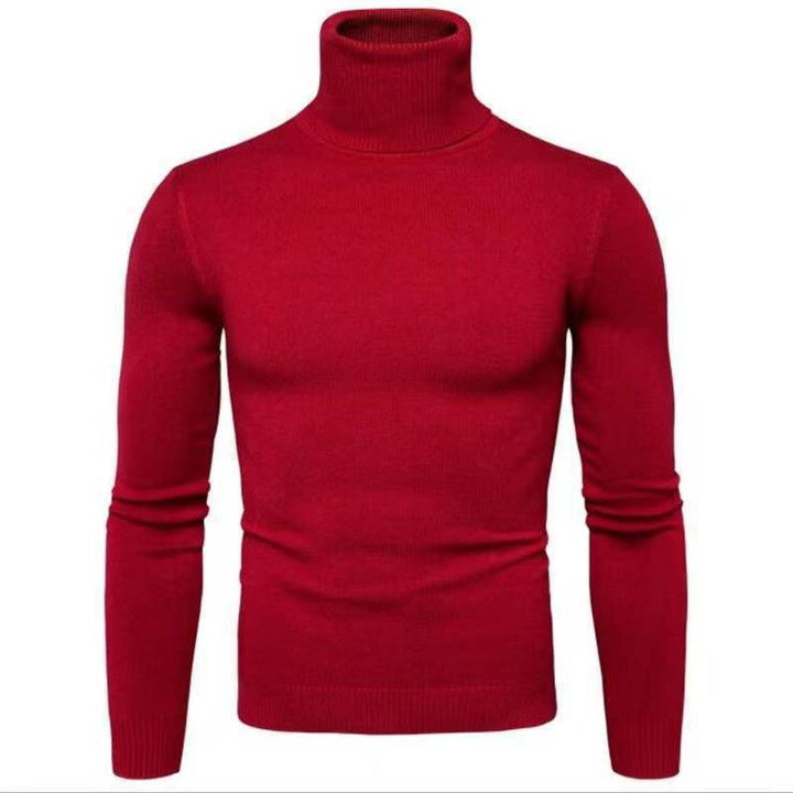 Herren Rollkragenpullover aus feiner Baumwolle mit figurbetontem Schnitt Aliams