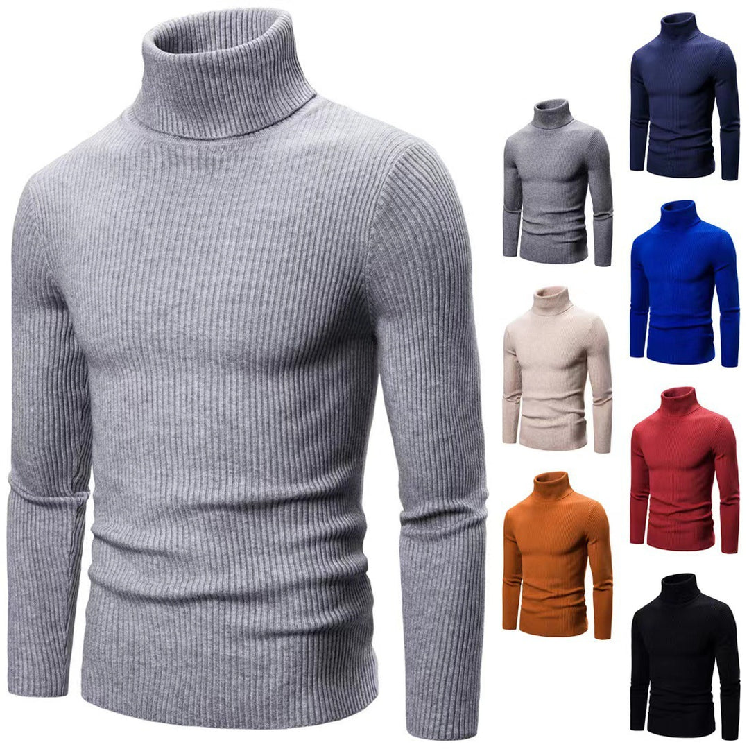 Herren Eleganter Rollkragenpullover aus feiner Strickqualität Aliams