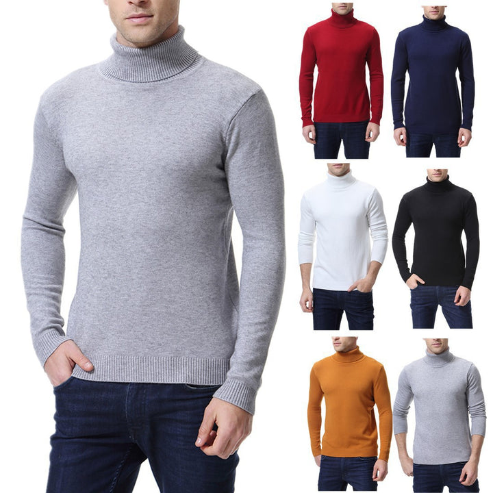 Herren Rollkragenpullover aus feiner Baumwolle Aliams