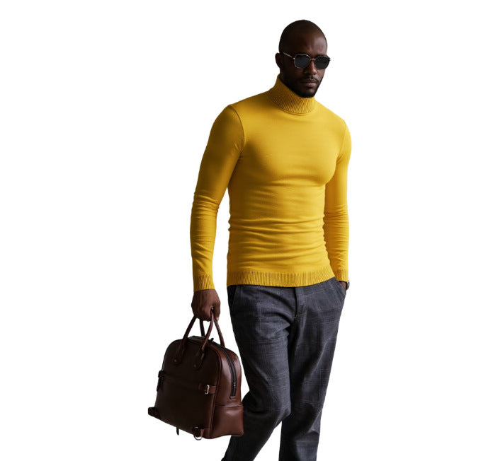 Herren rollkragen pullover mit feiner Struktur Aliams