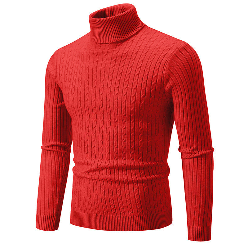 Herren Rollkragenpullover aus komfortabler Strickqualität Aliams