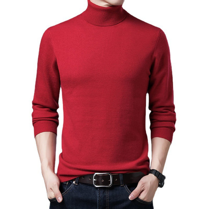 Herren Rollkragenpullover aus weichem Strick Aliams