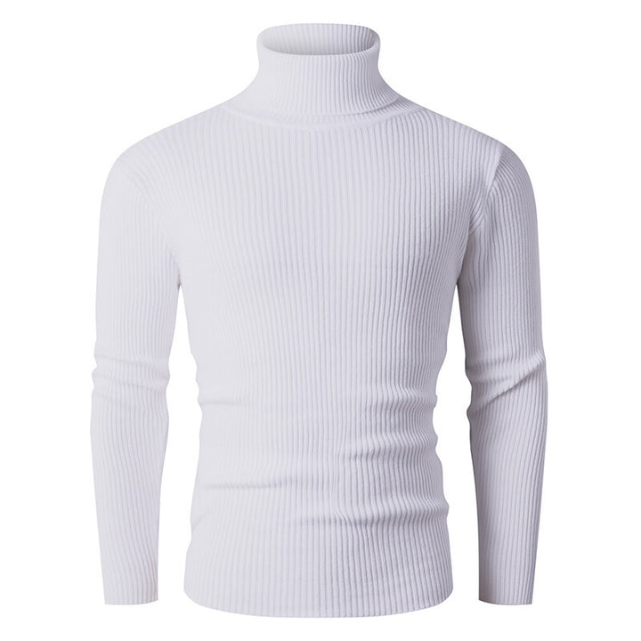 Herren Rollkragenpullover aus geripptem Strick Aliams