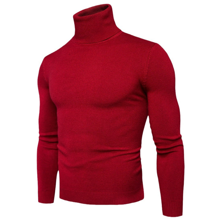 Herren Rollkragenpullover aus weichem Feinstrick Aliams