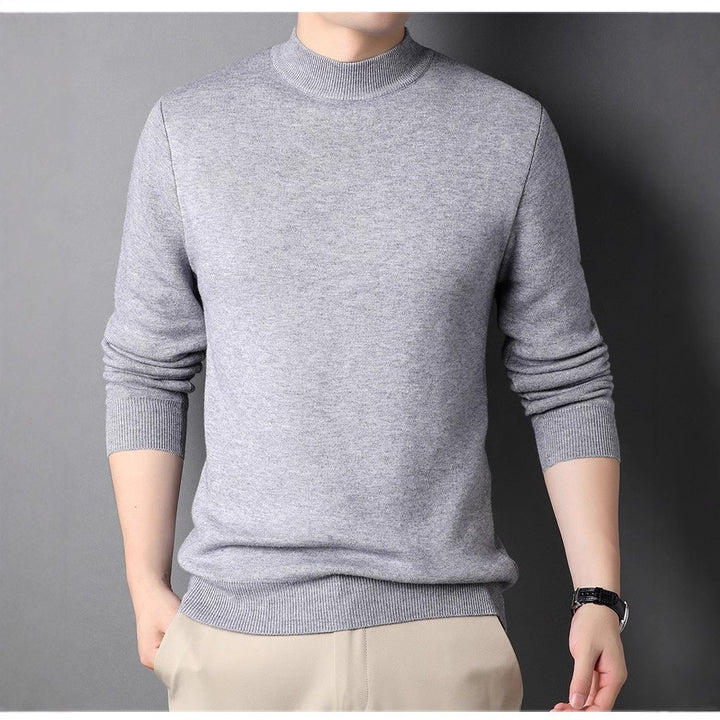 Herren Feinstrickpullover mit Rollkragen und soften Materialien Aliams