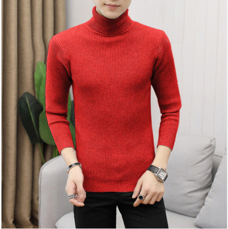 Herren Rollkragenpullover aus feiner Baumwolle mit strukturiertem Design Aliams