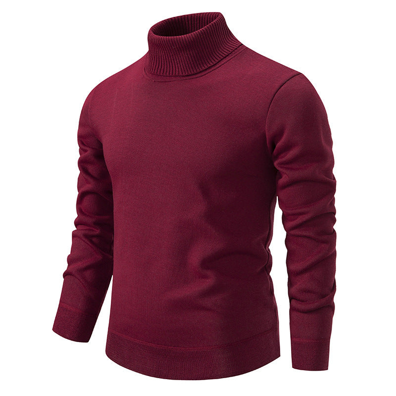 Herren schicker Rollkragenpullover aus hochwertiger Baumwolle Aliams