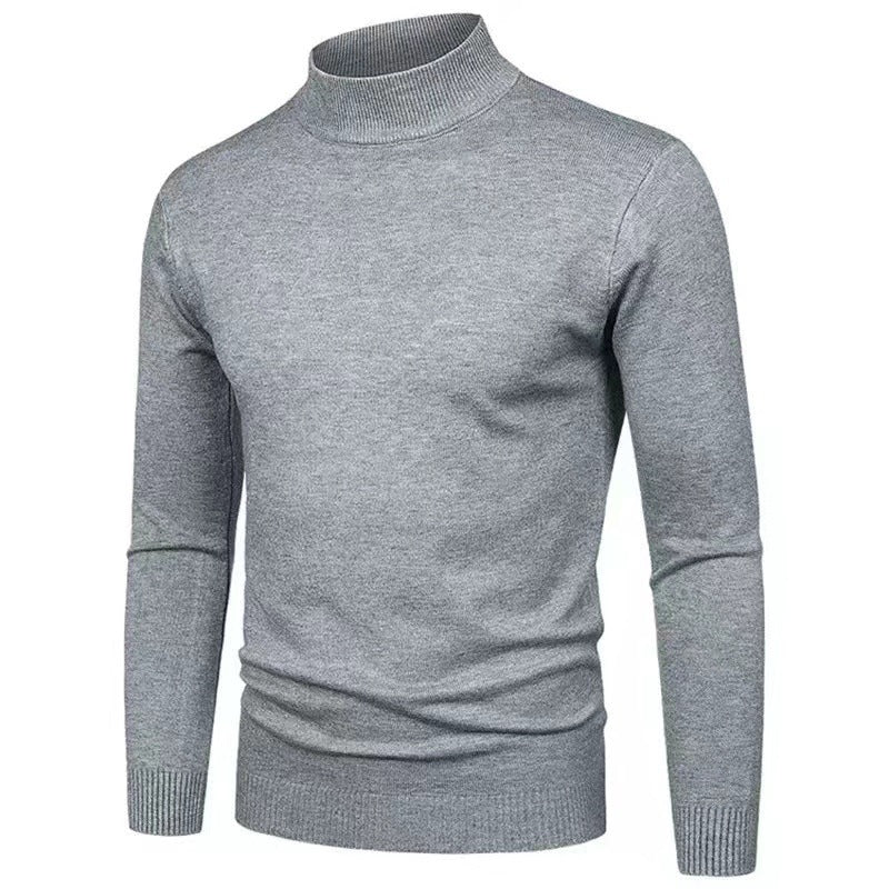 Herren Rollkragenpullover aus hochwertigem Strickmaterial mit feiner Textur Aliams