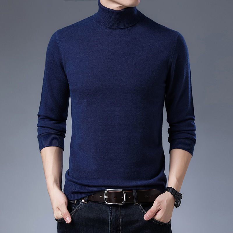 Herren Rollkragenpullover aus weichem Strick Aliams