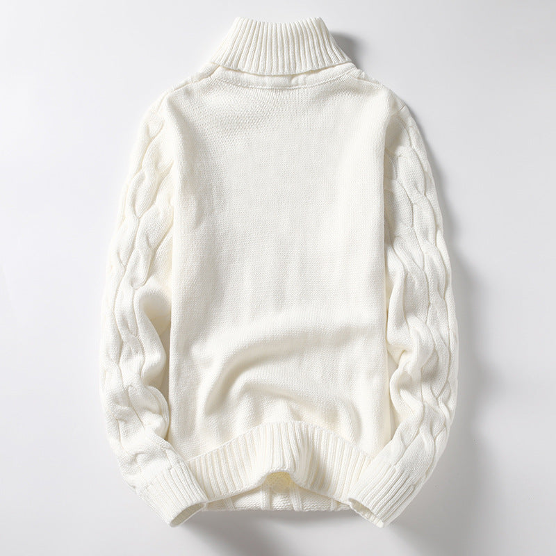 Herren Strickpullover mit Rollkragen und Zopfmuster Aliams