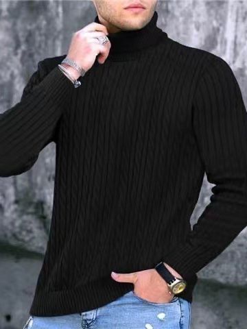 Herren Rollkragenpullover mit strukturiertem Strickmuster Aliams