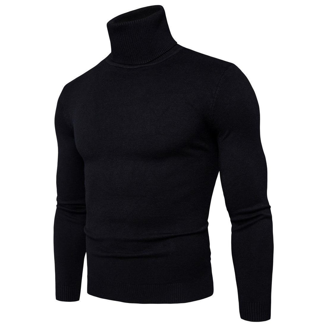Herren Rollkragenpullover aus weichem Merinowolle Aliams