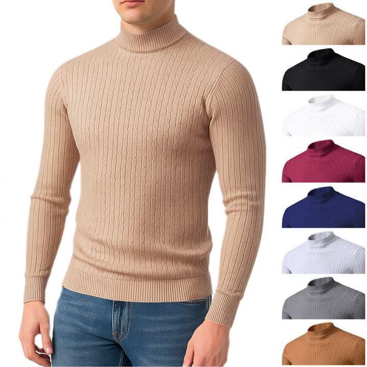 Herren Rollkragenpullover mit strukturiertem Zopfmuster und bequemem Schnitt Aliams