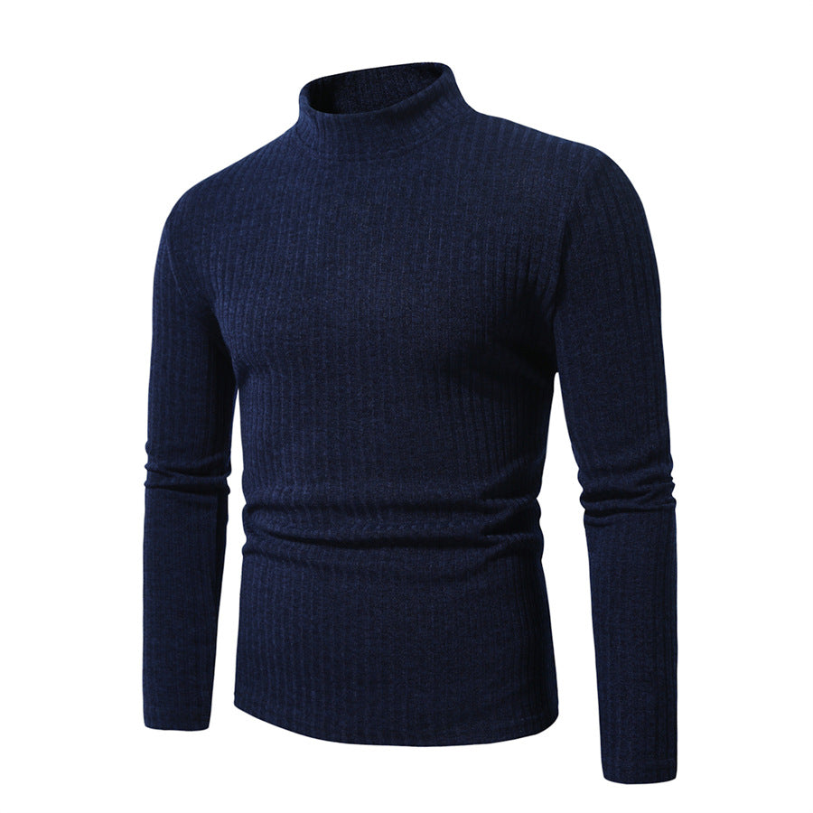 Herren feinstrickender Rollkragenpullover Aliams