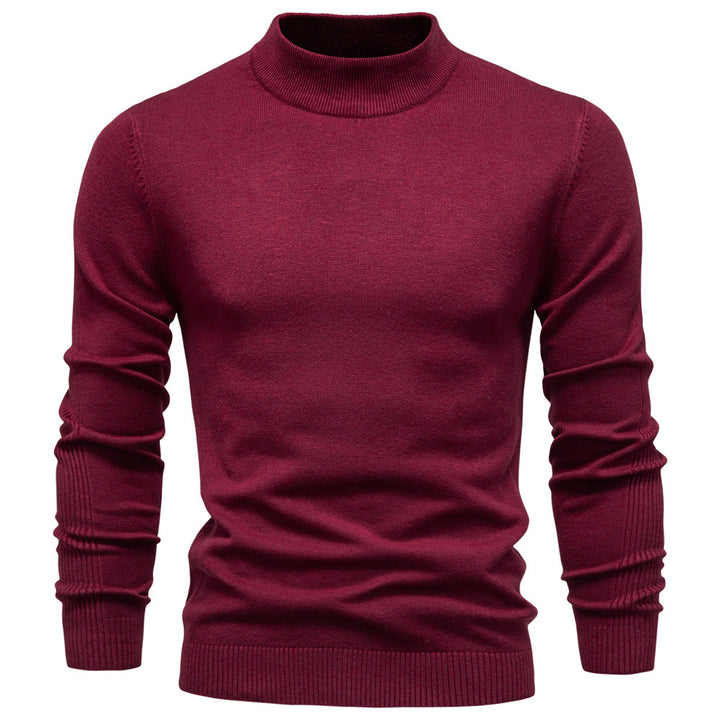 Herren Rollkragenpullover aus weichem Strickmaterial mit feiner Rippstruktur Aliams