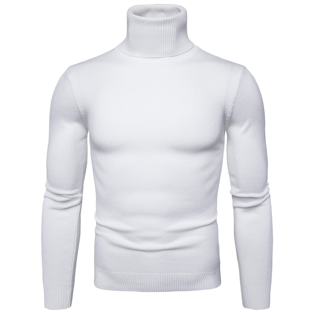 Herren Rollkragenpullover aus weichem Strick Aliams