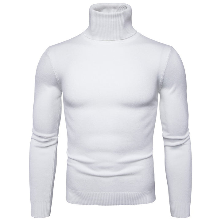 Herren Rollkragenpullover aus weichem Strick Aliams