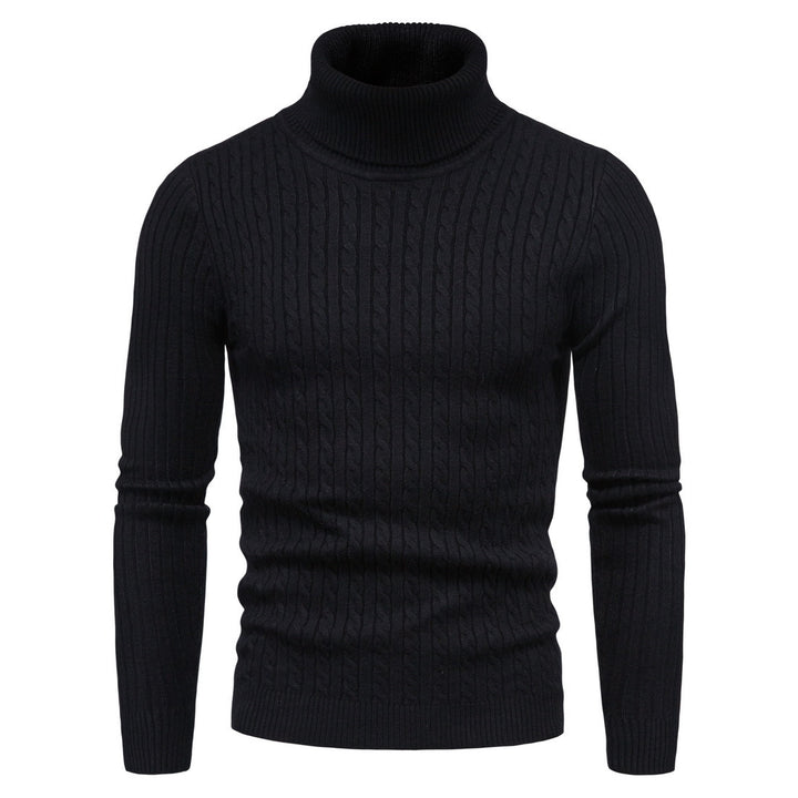 Herren komfortabler Rollkragenpullover Aliams