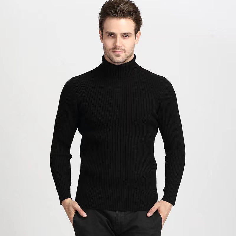 Herren Rollkragenpullover mit feiner Rippenstruktur und hohem Tragekomfort Aliams