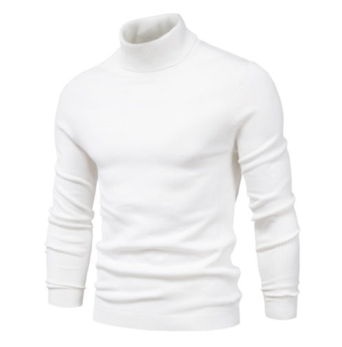 Herren eleganter Rollkragenpullover aus feiner Merinowolle Aliams