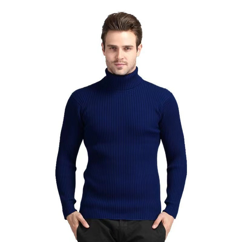 Herren Rollkragenpullover mit feiner Rippenstruktur und hohem Tragekomfort Aliams