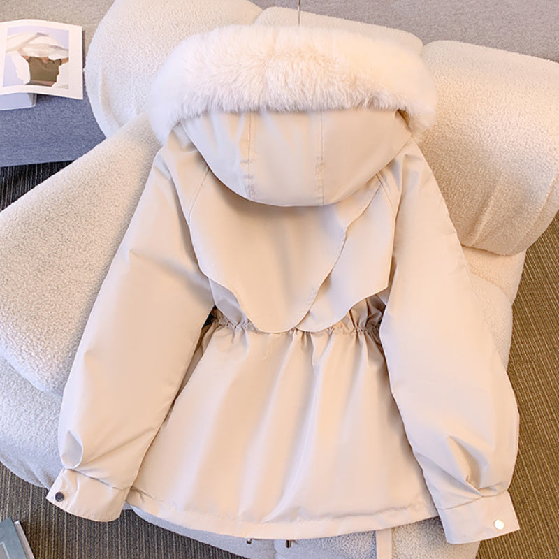 Rosirande | Ihr Schicker Winterschutz