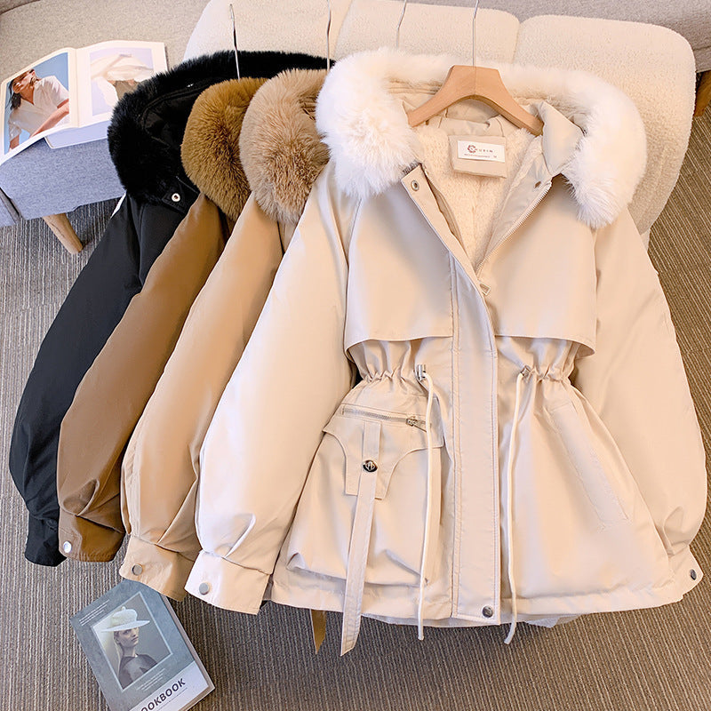 Rosirande | Ihr Schicker Winterschutz