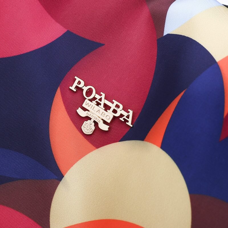 Aliams | Nevada️ Multifunktionale Anti-Diebstahl-Tasche